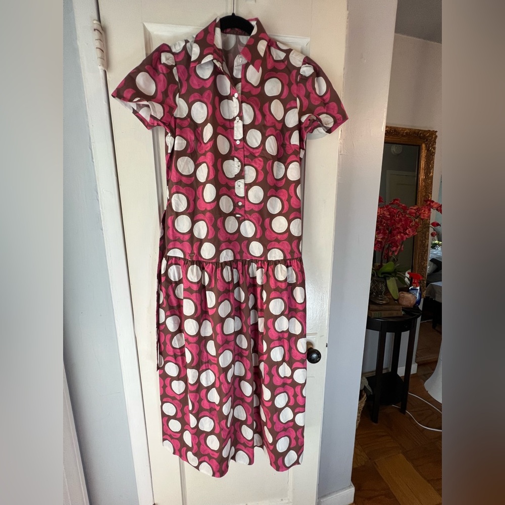 J. McLaughlin Pink Polka Dot Maxi Shirt Dress - Picture 5 of 16